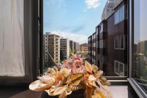 Primopiano - Stefini