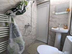 Unforgettable attic with balcony in Borjomi