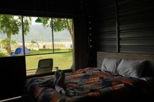 Bali Strawberry Glamping and Camp Bedugul