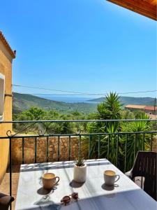 Leonidas Guest House
