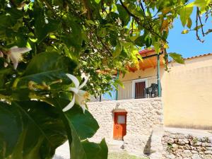 Leonidas Guest House