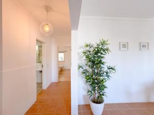 Historic Charm in the Heart of Lagos #1950