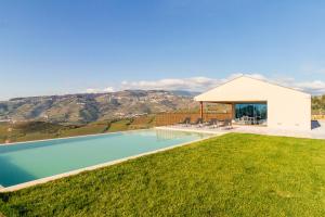 Douro Valley Luxury Home with Vineyard and Infinity Pool