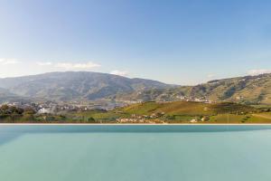 Douro Valley Luxury Home with Vineyard and Infinity Pool