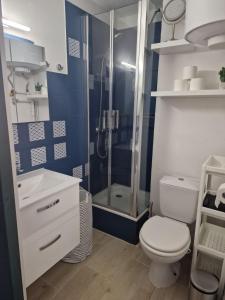 Appartement T2 Avec Charme.