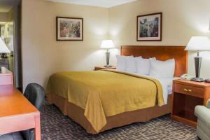 King Room with Tub - Disability Access/Non Smoking room in Quality Inn Kinston Hwy 70