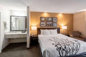 King Room - Non-Smoking room in Sleep Inn & Suites Green Bay South