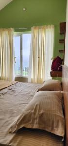 Photo of MOUNTAINTULIPS 