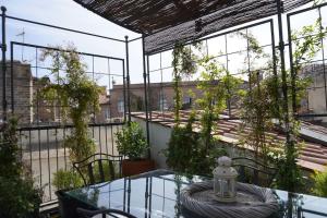 Vivi la Magia di Looney Tunes, piazza navona