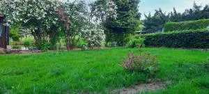 Zum Jagdsteinblick - Hartmannsbach