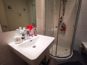 2br Modern Luxury Loft Apartment