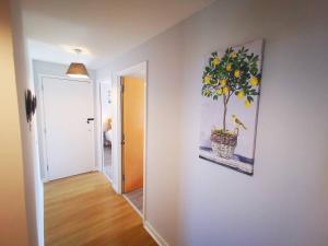 2br Spacious City Centre Apartment
