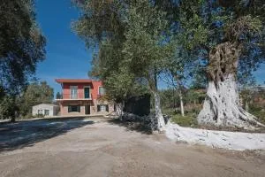 Village House In An Olive Grove! - Kastellánoi