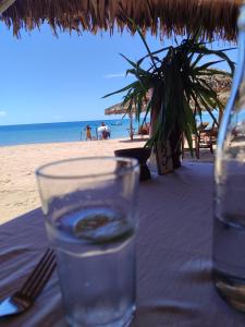 7 COCOTIERS F2 terrasse jardin plage privée avec vue mer