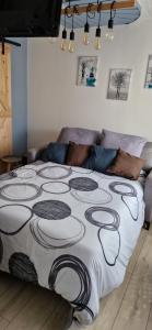 Némo Petit studio cosy.