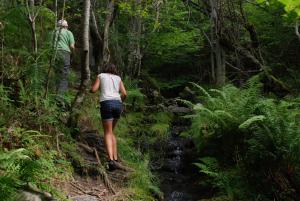 Casa Fresneda Jardín río y parque infantil frente a la casa