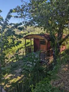 roulotte à la mauvaise herbe - Brue-Auriac