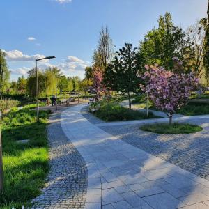 Apartamenty Kąpielowa Platynowy