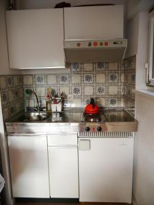 Ferienwohnung Auch am Berg, Todtnauberg, Feldberg