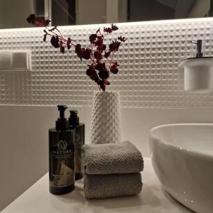 Apartament Nad Strugą, klimatyzacja, parking,taras