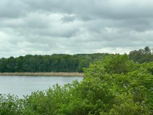 Apartament NATURA z widokiem na jezioro