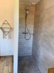 Villas Villa privee 230m2/ Piscine debordement/Billard-Babyfoot-Boulodrome-Flipper/Strasbourg : photos des chambres