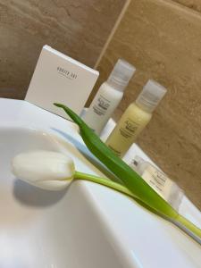 Single Room room in Hotel KOZÁK