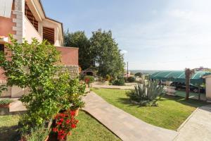 Apartment Damjan 