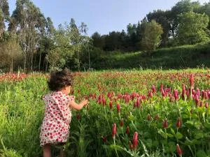 Quinta da Casa Azul - Salgueiro