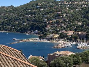 Appartements Magnifique Haut de Villa vue mer Theoule-sur-Mer : photos des chambres