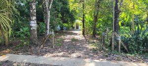 Eco Cabin near Corcovado 300m to Quiet Beach in Private Reserve