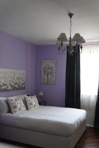Casa LIZ