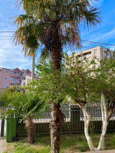 Apartmani Globarevic and Son