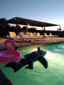 Maisons de vacances Le Vignal : photos des chambres