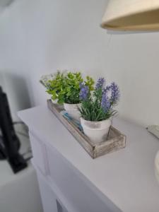 Ferienhaus Toni im Stadtkern von Bremervörde