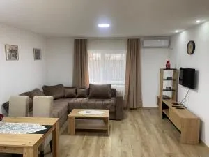 Apartmani Ozren - 阿莱克西纳茨