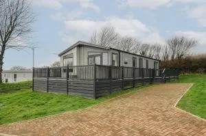 Toronto Swift - Grampound