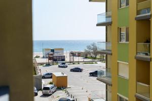 Sandy Wood