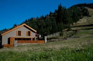 Cabana Poarta Retezat - Rîu de Mori