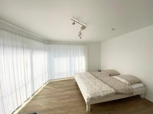 Modern One Bedroom + Bathroom Apartment, 10 min from Basel City