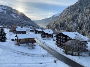 Studio tranquille avec balcon et parking proche centre Châtel - FR-1-693-59