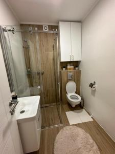 Apartman Royal 021