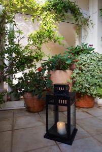 Appartements Riviera Golf apartment : photos des chambres