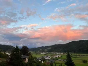 Graceland - Bollenbach