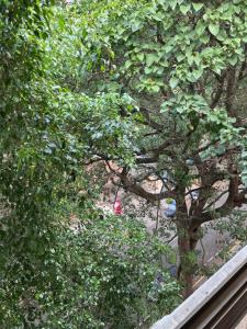 Departamento relax Ambassador