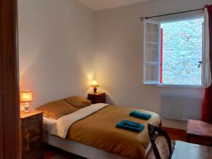 Appartements Au coeur de Chalabre, bastide medievale, pres du lac de Montbel : photos des chambres