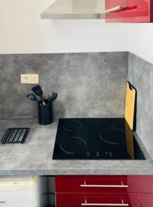 Appartements Chez Mischa : photos des chambres