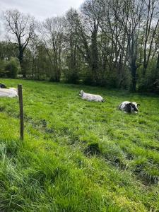 Gîte Sept FontainesJacuzzi & Sauna