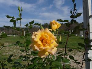 Maisons d'hotes le domaine des sources : photos des chambres