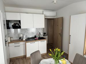 Apartamenty Misdroy Parking Gratis 250 m od plaży